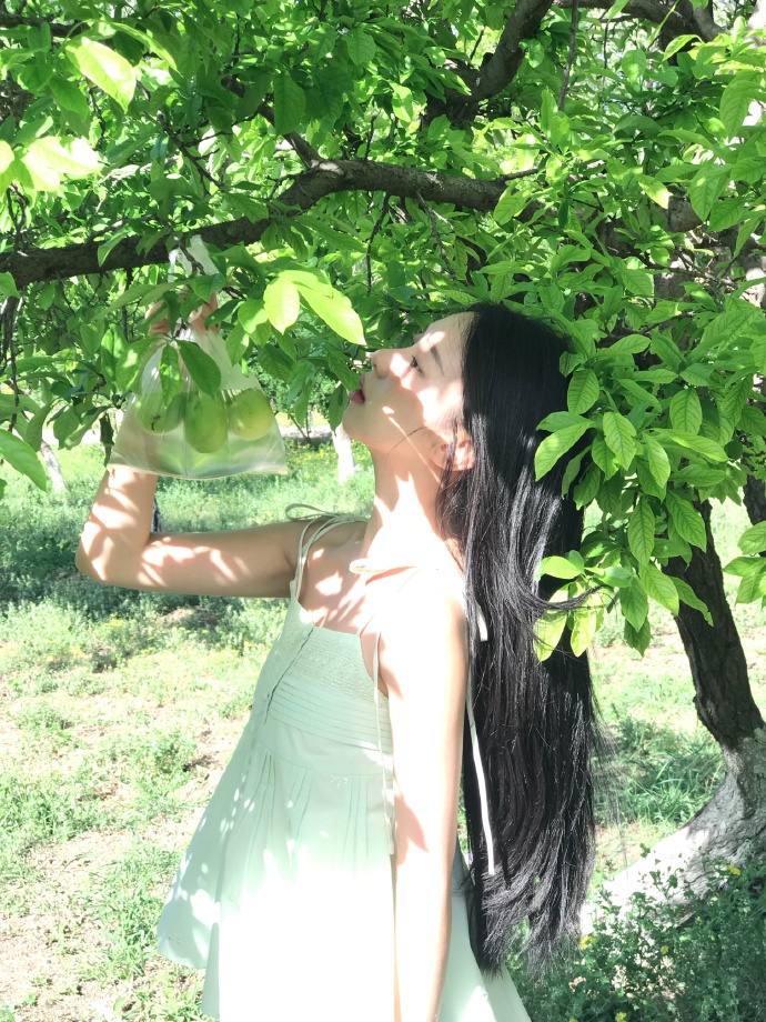 《迷失》主创林德洛夫曝第三季终结想法，ABC欲拍九季引争议